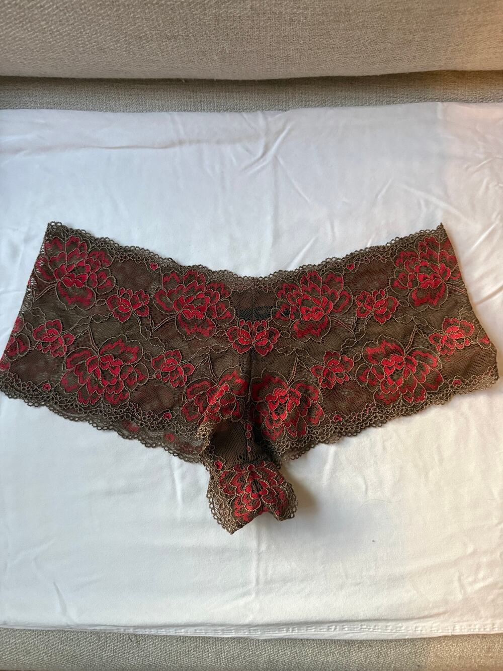 NWOT Daisy Fuentes Size L Brown Red Floral Lace Cheeky Panty Sheer Boho